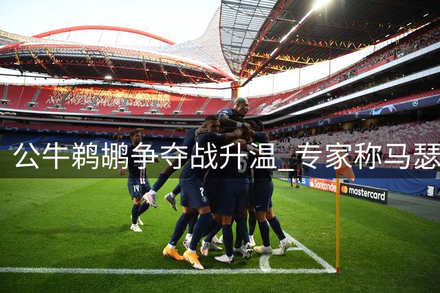 公牛鹈鹕争夺战升温 专家称马瑟林交易窗越长越可能触发先签后换