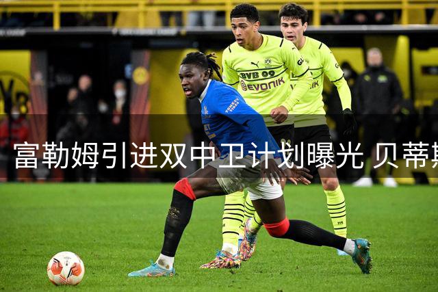富勒姆引进双中卫计划曝光 贝蒂斯纳坦与雷恩布德拉尔成目标