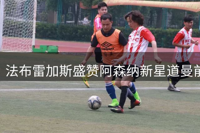 法布雷加斯盛赞阿森纳新星道曼前途光明